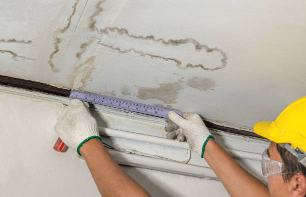 Reliable Burst Pipe Cleanup contractor in Orange Beach, AL by Water Damage Irwin